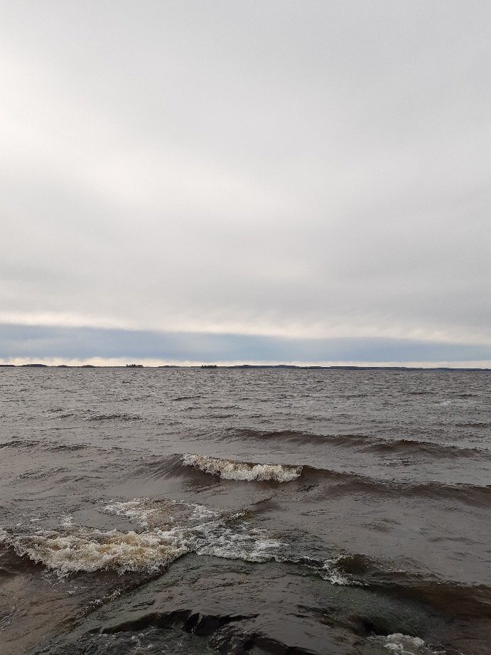 Näkymätön pelto