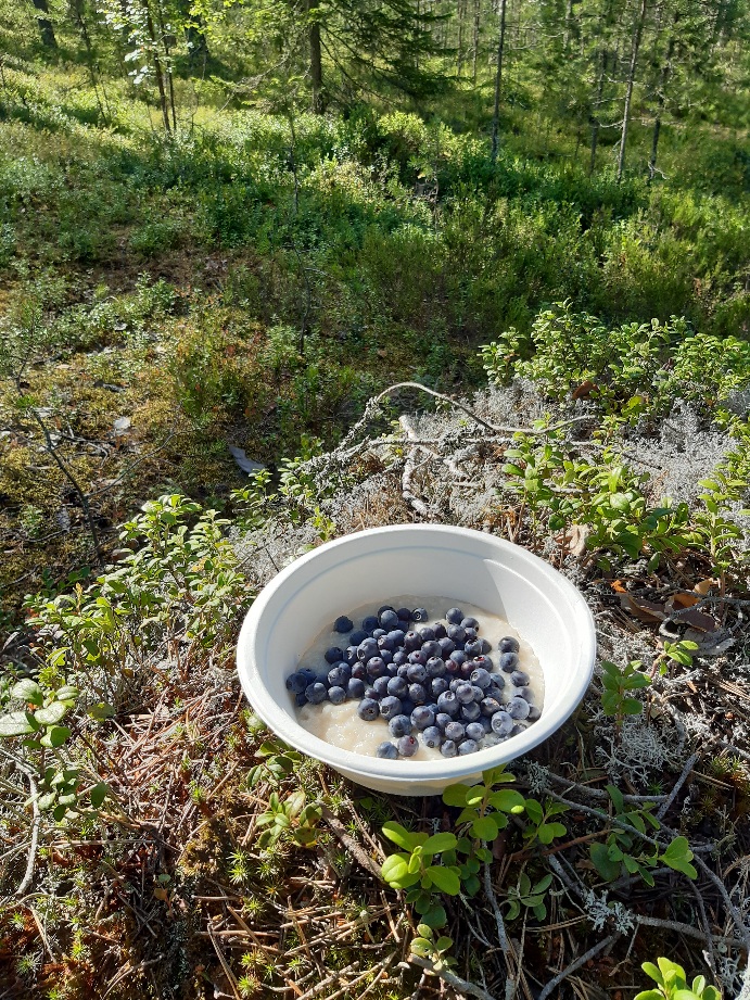 Kesämuistoja
